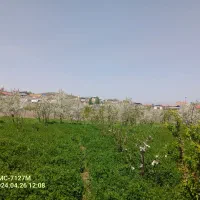 باغ در شهرستان اهر|فروش زمین و ملک کلنگی|اهر, |دیوار
