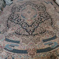 فرش نو|فرش|زاهدان, |دیوار