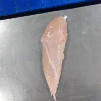 فیله ممتاز منجمد