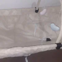 گهواره نو نوزاد|تخت و صندلی بچه|بوشهر, |دیوار