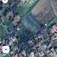 زمین|فروش دفتر صنعتی، کشاورزی، تجاری|نکا, |دیوار