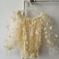 شومیز پروانه ای مجلسی به همراه دامن کوتاه چین دار|لباس|دورود, |دیوار