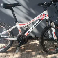 دوچرخه ۲۰ ویوا دنده ای