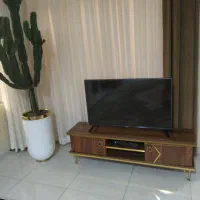 دو عدد ال ای دی