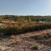 زمین باغی ۱۰۰۰ متری بَر جاده دالین آبگرم چهار مور