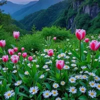 کمک به کنترل وزن با طبع|فعالیت داوطلبانه|قائن, |دیوار