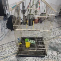 قفسه عروس هلندی