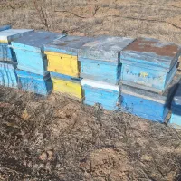 کندو خالی کارکرد