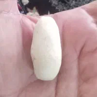 مهره قدیمی