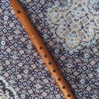 فلوت سیر دار