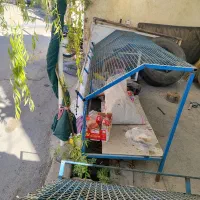 میز مخصوص میوه فروشی