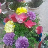 گل فروشی|گل مصنوعی|خاش, |دیوار
