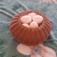 ارغوان بافی هنر دست سفارش عمده در خدمتم