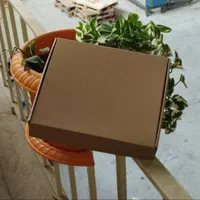 کارتن و جعبه تیسا پک (کارتن سازی)