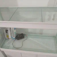 اکواریوم شیشه خم اکبند یک متری|ماهی|خرمآباد, |دیوار