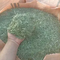 یونجه خردشده