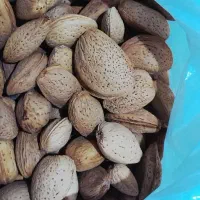 بادام