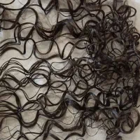 مقداری مو استفاده نشده|آرایشی، بهداشتی، درمانی|پیشوا, |دیوار