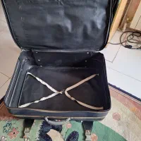 چمدان مسافرتی|کیف، کفش، کمربند|رشت, کاکتوس|دیوار