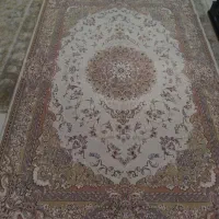 فروش فرش|فرش|گرمسار, |دیوار