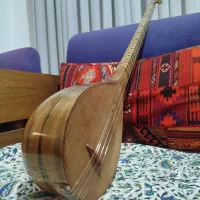 سه‌ تار|سازهای سنتی|رشت, دیانتی|دیوار