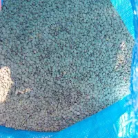 عدس تازه زودپزخوش طعم|خوردنی و آشامیدنی|اهر, |دیوار