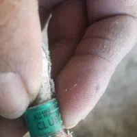 کفترپلاکی|پرنده|صدرا-فارس, باغشهر بهارستان صدرا|دیوار