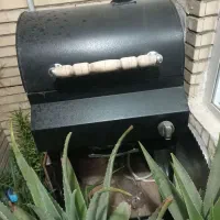 باربیکیو در حد نو