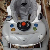 روروئک چند کاره دلیجان