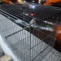 دو عدد قفس پرنده