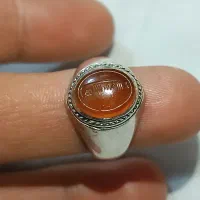 شرف شمس ضابطی
