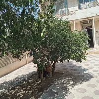 منزل ویلایی|فروش خانه و ویلا|شیراز, گود خزینه|دیوار