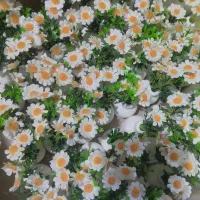 گلدان مراکشی مینی مال
