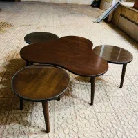 فروش استند گل و میز جلو مبلی طرح گشنیز|مبلمان خانگی و میز عسلی|شهرضا, |دیوار