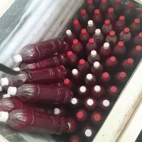 اناردرجه یک سردخانه ای ۱۰۰|خوردنی و آشامیدنی|کوهدشت, |دیوار