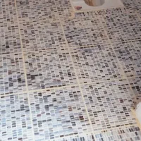 نصب کاشی سرامیک|خدمات پیشه و مهارت|فولادشهر, A2|دیوار