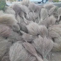 جارو|لوازم نظافت|سبزوار, توحیدشهر|دیوار