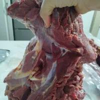 گوشت گوساله و گوسفند|خوردنی و آشامیدنی|باقرشهر, |دیوار