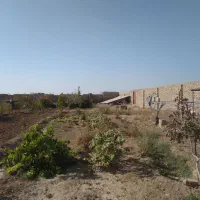 فروش باغ شادمهر|فروش خانه و ویلا|تربتحیدریه, پائین ولایت|دیوار