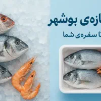 ماهی و میگو صید روز