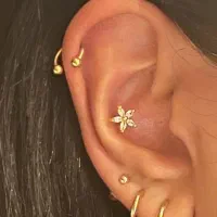 انجام و آموزش تخصصی پیرسینگ،میکرودرمال،چال گونه|خدمات آرایشگری و زیبایی|گلبهار, شهر جدید گلبهار|دیوار