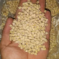 دان مرغ پرسی مرغ گوشتی