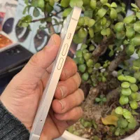 Iphone 128GB Ch 98%|موبایل|رشت, منظریه|دیوار