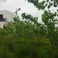 زمین ۱۵۰۰ متری جنب سیتادیوم مناسب برای کلبه و ویلا|فروش زمین و ملک کلنگی|رشت, گلباغ نماز|دیوار