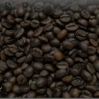 استخدام نیرو کافه