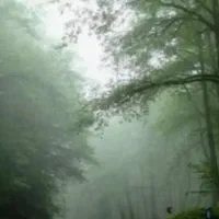 فروش زمین در منطقه سر سبز کجور زیر قیمت