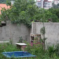 اجاره روزانه خانه ویلایی سرای گلشن در شیرگاه|اجارهٔ کوتاهمدت ویلا و باغ|آلاشت, |دیوار