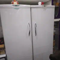 یخچال دو قلو پارس