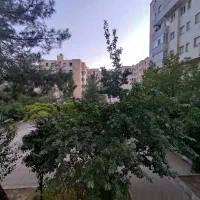 آپارتمان دو خوابه طبقه اول خیابان رایحه|اجارهٔ آپارتمان|شیراز, شهرک گلستان|دیوار