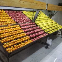 پالت میوه فروشی